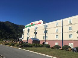 Mountain Inn & Suites
