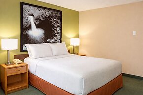 Super 8 by Wyndham Antigo