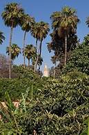 Palais Salam Taroudant