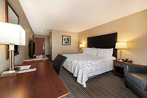 Best Western Park Oasis Inn