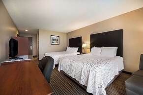 Best Western Park Oasis Inn