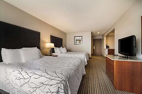 Best Western Park Oasis Inn