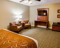 Comfort Suites