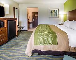 Comfort Inn Shepherdsville - Louisville South