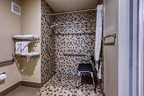 Comfort Inn Shepherdsville - Louisville South