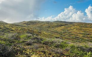 Amsterdam Manor Beach Resort