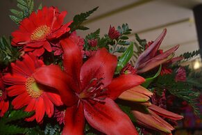 Hotel El Tucano Resort & Thermal Spa