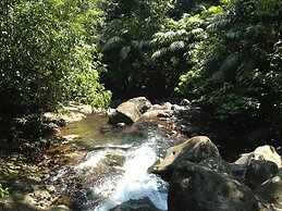 Hotel El Tucano Resort & Thermal Spa