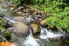 Hotel El Tucano Resort & Thermal Spa