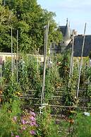 Château de la Bourdaisière