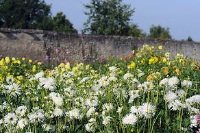 Château de la Bourdaisière