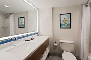 Embassy Suites by Hilton Tampa USF Near Busch Gardens