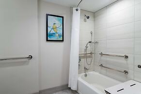 Embassy Suites by Hilton Tampa USF Near Busch Gardens