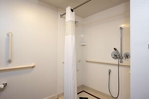 Hampton Inn Grand Rapids-South
