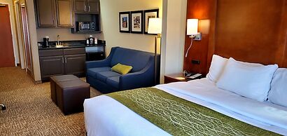 Comfort Inn & Suites Decatur - Forsyth