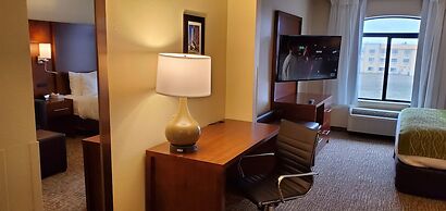 Comfort Inn & Suites Decatur - Forsyth