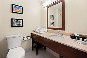 Comfort Inn & Suites Decatur - Forsyth