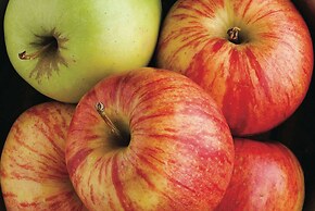 La Quinta Inn & Suites by Wyndham Fairfield - Napa Valley