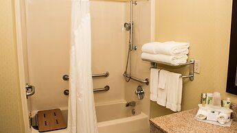 Holiday Inn Express Hotel & Suites Saginaw by IHG