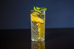 Radisson Royal Hotel, St. Petersburg