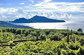 Hilton Sorrento Palace