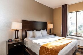 Comfort Suites Houston West at Clay Road