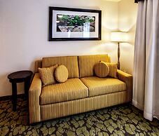 Hilton Garden Inn New York / Staten Island