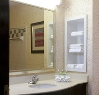Holiday Inn Express Hotel & Suites Brownsville by IHG