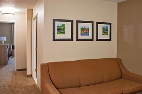 Comfort Inn & Suites Geneva - West Chicago