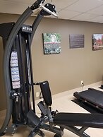Comfort Inn & Suites Geneva - West Chicago