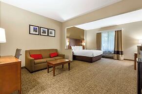 Comfort Suites Raleigh Walnut Creek