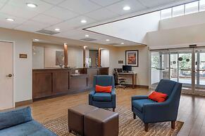 Comfort Suites Raleigh Walnut Creek