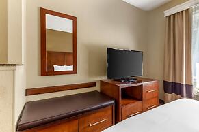 Comfort Suites Raleigh Walnut Creek