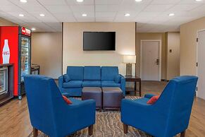 Comfort Suites Raleigh Walnut Creek