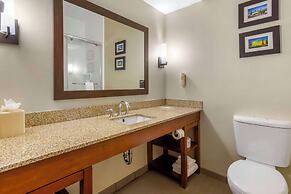 Comfort Suites Raleigh Walnut Creek