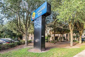 Comfort Inn University