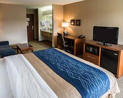 Comfort Inn Crystal Lake - Algonquin