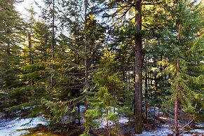 Aspens on Blackcomb