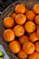 Armada Istanbul Old City Hotel