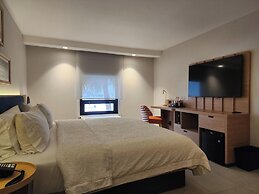 Hampton by Hilton Saltillo