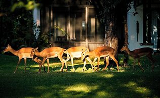 Royal Livingstone Victoria Falls Zambia Hotel by Anantara