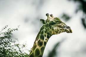 Avani Victoria Falls Resort