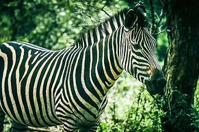 Avani Victoria Falls Resort