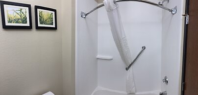 Comfort Suites Auburn near I-69