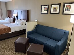 Comfort Suites Auburn near I-69