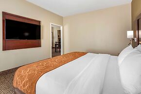 Comfort Suites Auburn near I-69