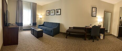 Comfort Suites Auburn near I-69