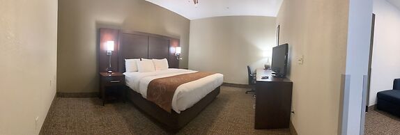 Comfort Suites Auburn near I-69