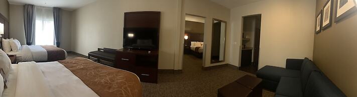 Comfort Suites Auburn near I-69