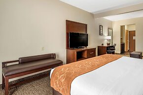 Comfort Suites Auburn near I-69